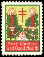 The US Christmas seal of 1925 features holly and mistletoe behind the candles. The image above is proposed for deletion. See images and media for deletion to help reach a consensus on what to do..  