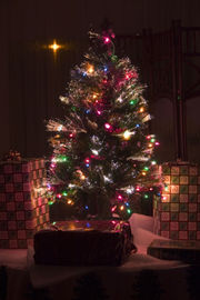 A Christmas  tree with fibre optic lights