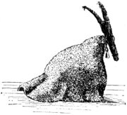A Yule Goat from Uppland, Sweden.