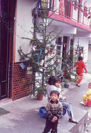 Taiwanese aboriginals, tutored by Christian missionaries, celebrate with trees (Cunninghamia lanceolata) outside their homes.