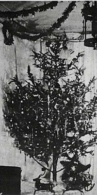 First Christmas tree with electric lights, in the home of Edward H. Johnson in New York City, December 22, 1882.