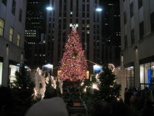 Rockefeller Center Christmas Tree of 2005.