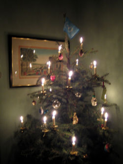 A candlelit Christmas tree decorated with the United Nations flag at the top in a Boston, Massachusetts home.