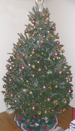 A sheared christmas tree.