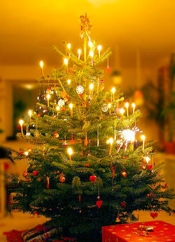 Christmas tree in a Danish home, 2004.