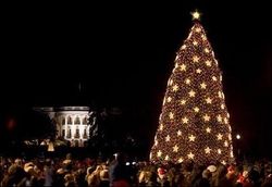 National Christmas Tree (December 2, 2004)